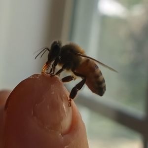 Meet your Posher, Angela